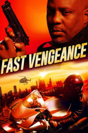 Fast Vengeance