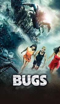 Bugs