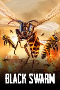 Black Swarm